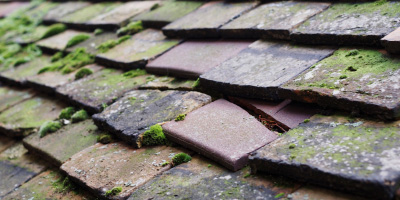 Stilton roof repair costs